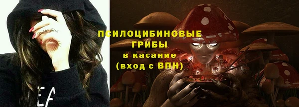 мет Арсеньев