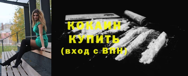 мет Арсеньев