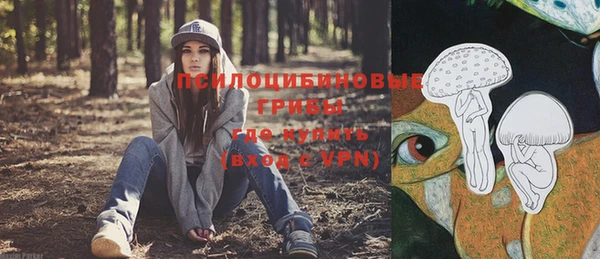 ECSTASY Армянск