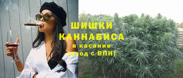 мет Арсеньев