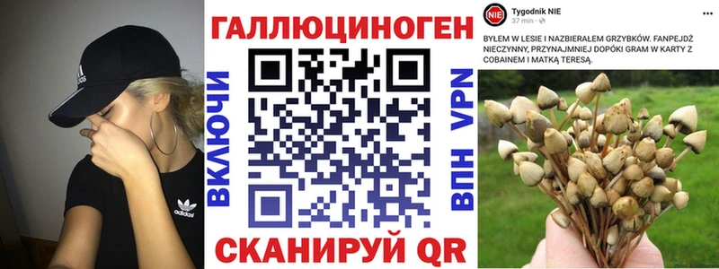 МЕГА онион  Баймак  Псилоцибиновые грибы Psilocybe 